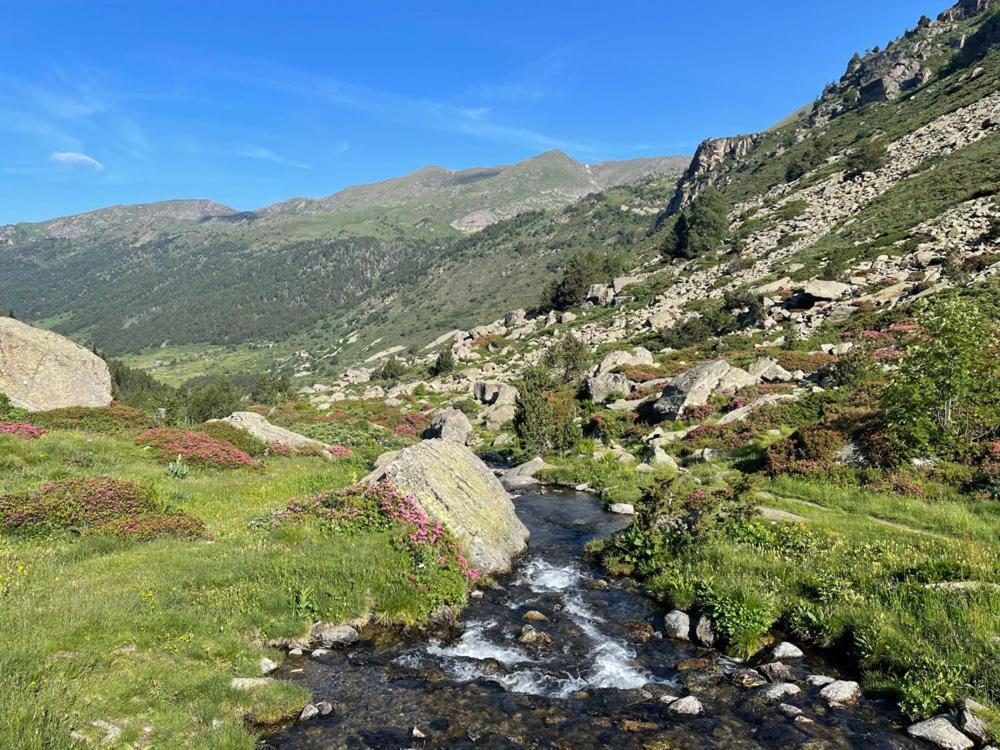 Apartamento rodeado de Natura y Actividades en Canillo HUT-7852 Exterior foto